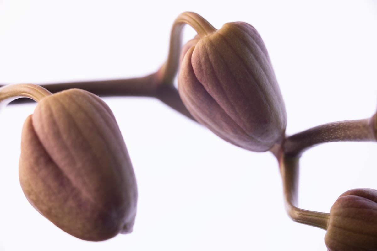 Post-Surgery Pelvic Floor Recovery